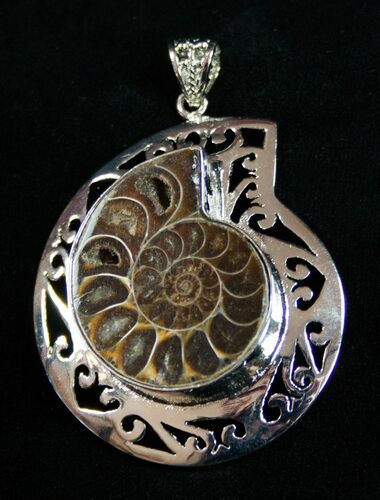 Ammonite Pendant #1862